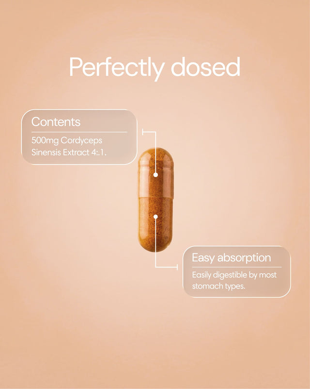 Clearly brand Cordyceps capsules in a bottle, showing the supplement packaging and capsules inside.
