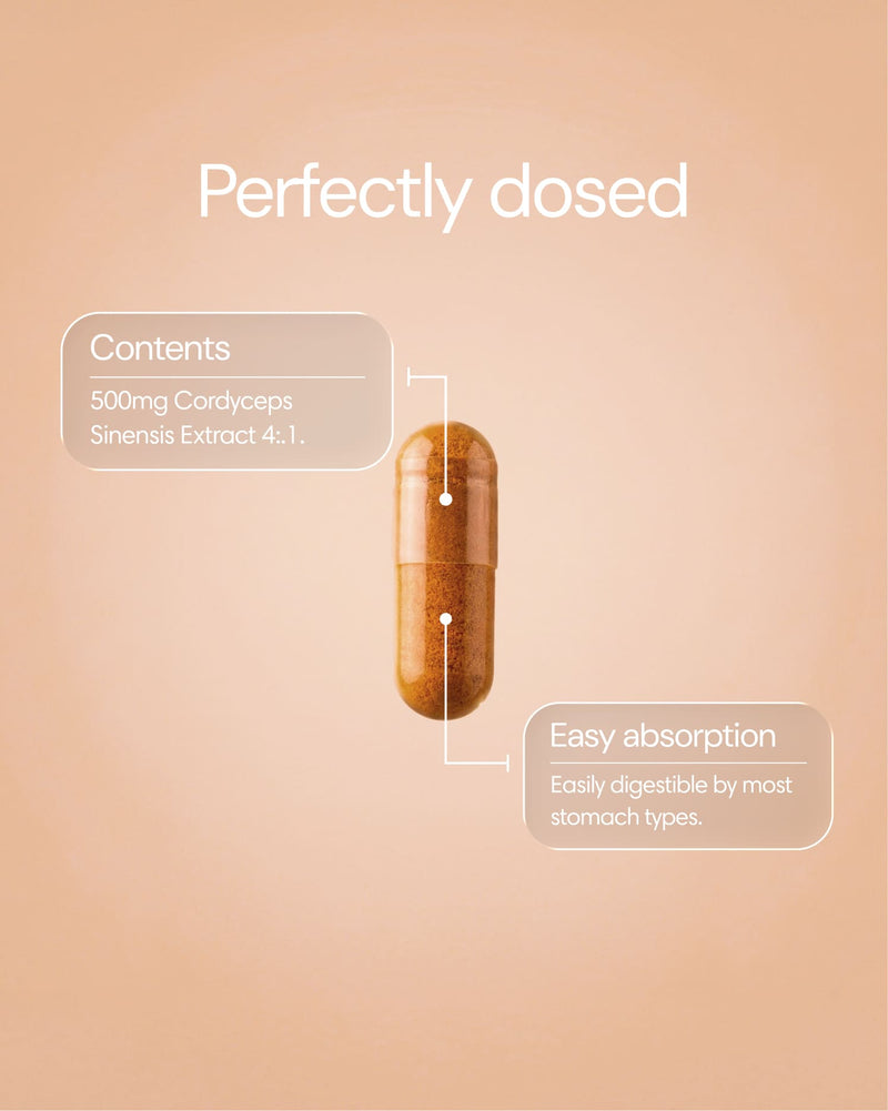 Clearly Cordyceps capsules in a bottle, showing the supplement packaging with capsules visible inside.