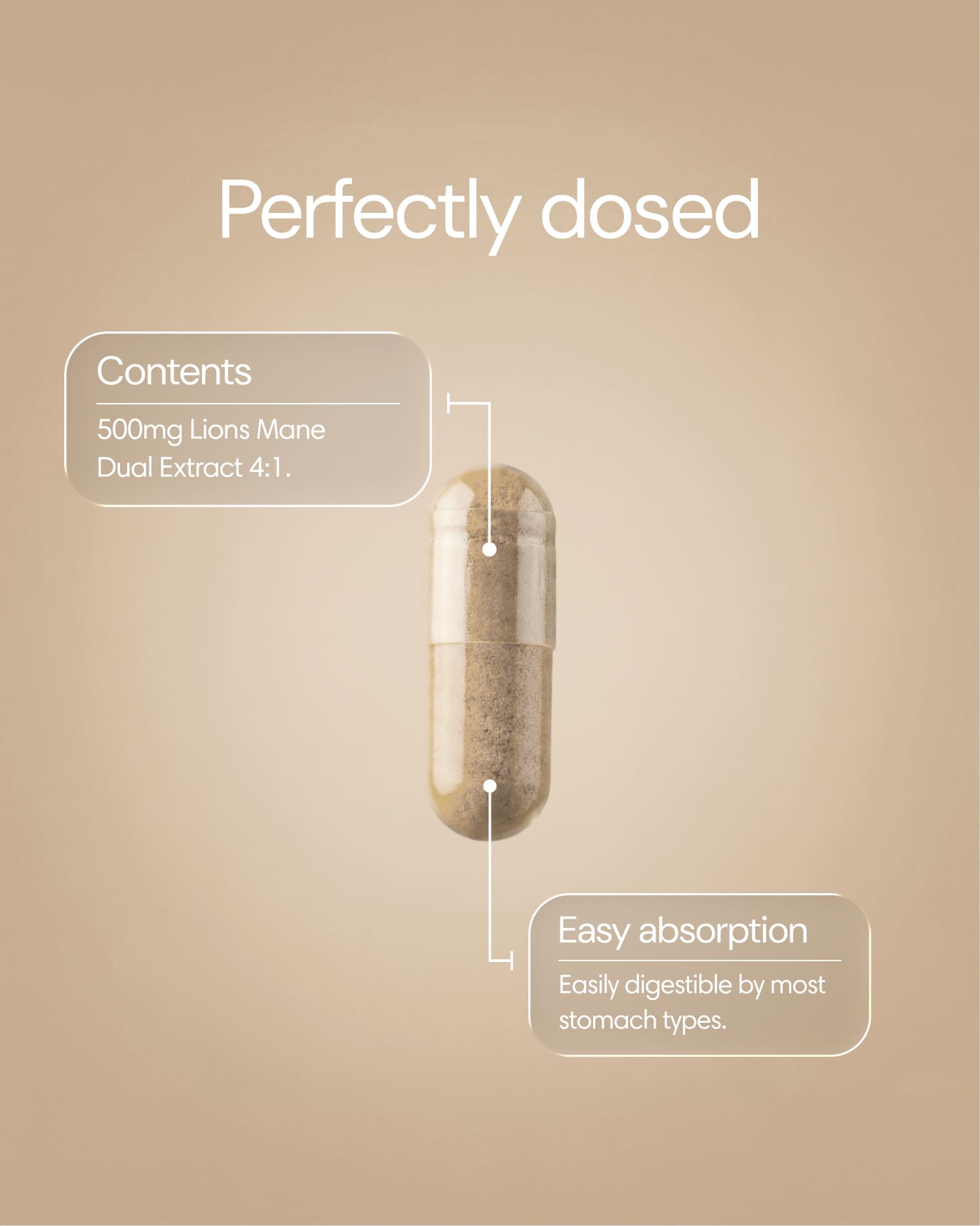 Clearly Lion's Mane capsules in a bottle, showing the supplement packaging and capsules, designed for cognitive support.