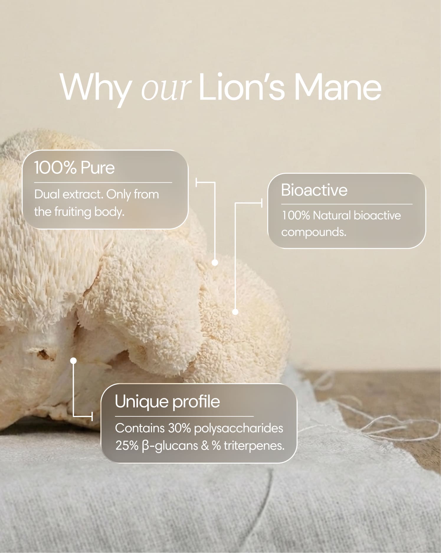Clearly Lion's Mane capsules bottle with close-up of ingredient benefits and label details.