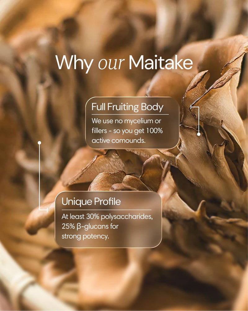 Freshly harvested Clearly Maitake mushroom, showcasing its textured, fan-shaped caps and sturdy stems on a clean background.