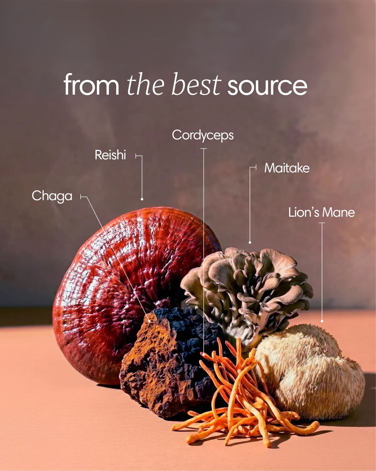 Clearly Mushroom Mix capsules featuring a blend of various mushroom ingredients in a clear jar, showcasing the supplement's natural composition.