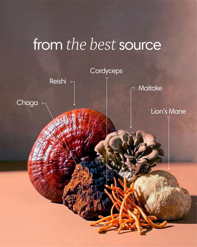 Clearly Mushroom Mix capsules featuring a blend of various mushroom ingredients in a clear jar, showcasing the supplement's natural composition.