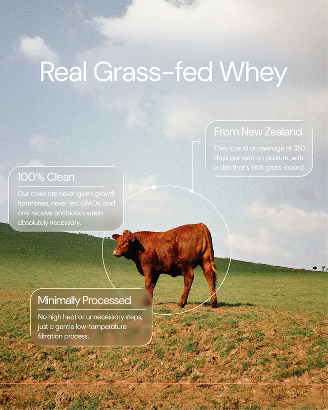  Clearly - Protein Iced Coffee