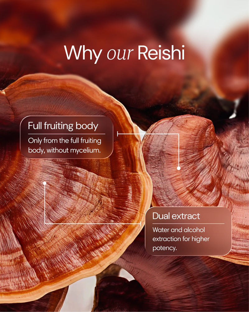 Clearly Reishi capsules showing the herbal supplement, highlighting its natural Reishi mushroom ingredient and health benefits.