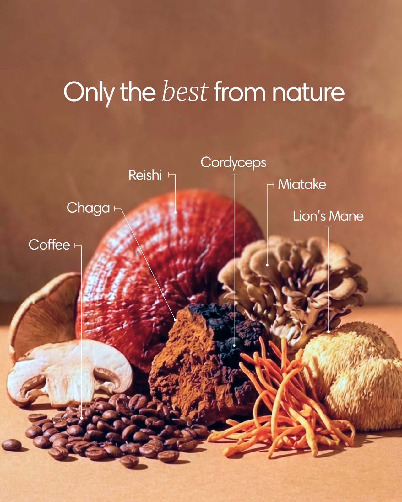  Clearly - Mushroom coffee