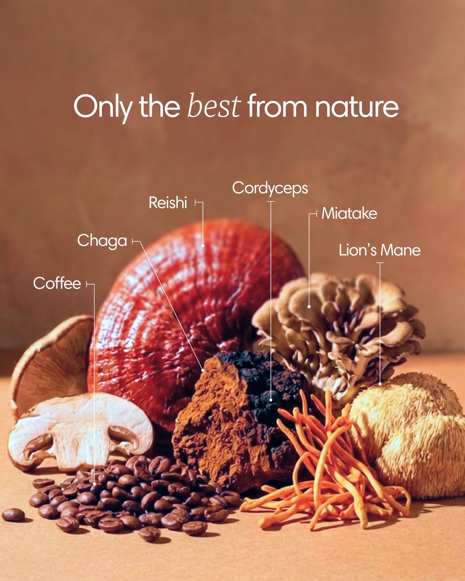  Clearly - Mushroom coffee