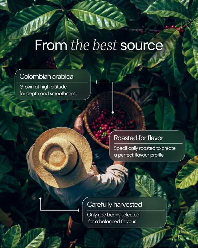  Clearly - Mushroom coffee